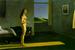 [thumbnail of hopper-woman_in_the_]